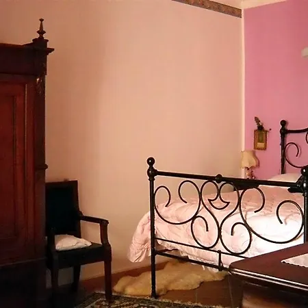 Anna Forlì